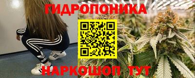 мескалин Камышлов