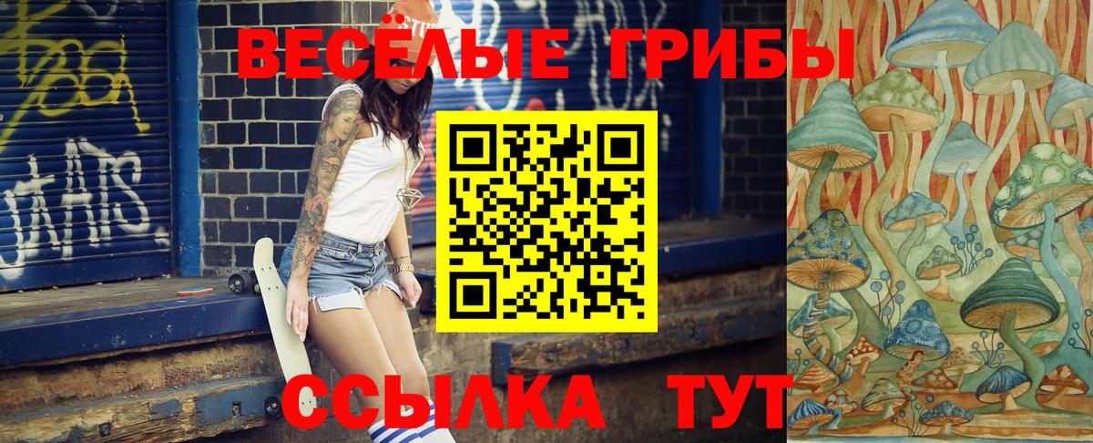 Галлюциногенные грибы Psilocybe  Вход с VPN  Псилоцибиновые грибы MAGIC MUSHROOMS  Ленинск-Кузнецкий 
